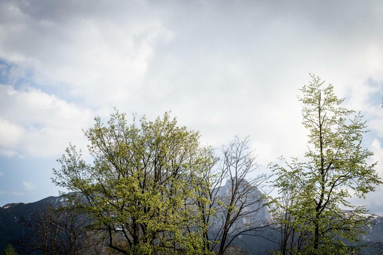 Gorski Klimat Zakopane Dış mekan fotoğraf